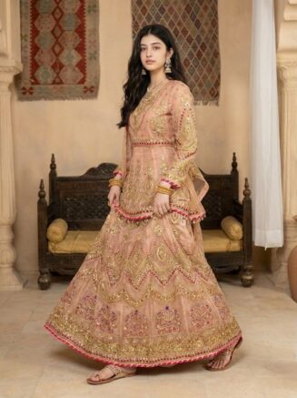 Pink Embroidered Lehenga Choli