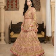 WhatsApp Image 2026-01-17 at 12.07.41 AM