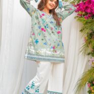 WhatsApp Image 2026-02-11 at 10.20.10 PM (1)