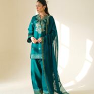 WhatsApp Image 2026-02-11 at 9.22.27 AM