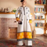 WhatsApp Image 2026-02-12 at 4.18.02 PM (1)