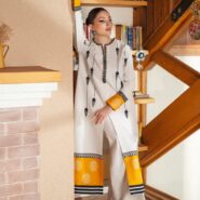 WhatsApp Image 2026-02-12 at 4.18.02 PM